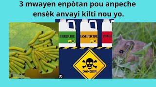 3 moyens efficaces pour combattre les insectes [upl. by Isabel91]