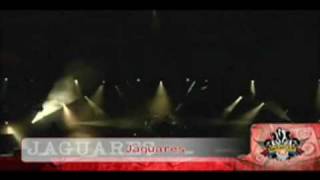 Jaguares  Alquimista en vivo [upl. by Sanfo732]