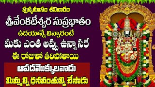 Venkateshwara Suprabhatam  Full Version Original  Suprabhatam  Venkateswara Swamy Devotional Song [upl. by Lrad]