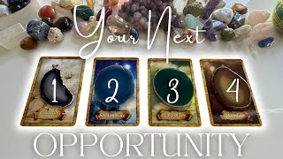 🐇What Is Your Next Opportunity❔🤍 Pick A Card 🦢 Tarot Reading [upl. by Carpenter339]