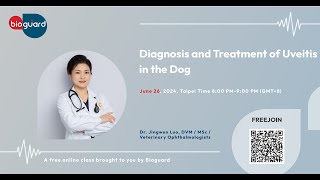 Diagnosis and Treatment of Uveitis in the Dog [upl. by Pammy]