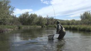 Fishing Moment 17 Silver Creekwmv [upl. by Anglim]