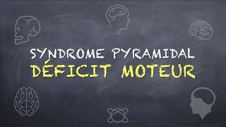 Syndrome Pyramidal  Déficit Moteur [upl. by Vern]