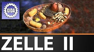 Trailer  Zelle II  Biologie  Schulfilm [upl. by Pazia582]