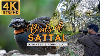 Searching for rare birds in Sattal Uttrakhand India [upl. by Langer]