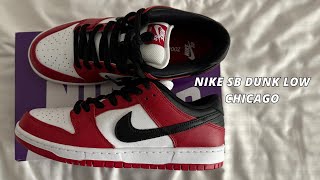 Nike SB Dunk Low Chicago  Back After 2020 This Is A Pair I Have Wanted For A Real Long Time [upl. by Yssac875]