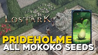 Lost Ark All Prideholme Mokoko Seed Locations [upl. by Mchugh]