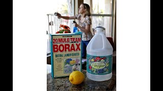 New TikTok trend has people drinking Borax  Why this toxicologist is urging people to stop [upl. by Matthus]