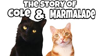 The Story of Cole amp Marmalade [upl. by Adolph]