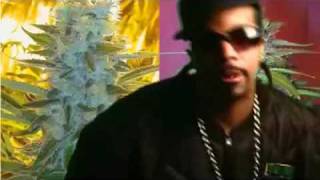 Lil Flip  Pass Da Swisha [upl. by Airtemed]