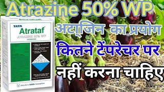 atrazine 50 WP ॥ atrazine  atrataf herbicide  atrazine 50 wp herbicide [upl. by Euginimod176]