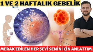 HAMİLELİK TESTİ EN ERKEN NE ZAMAN VE NASIL YAPILMALIDIR  ALTYAZILI [upl. by Sybil995]