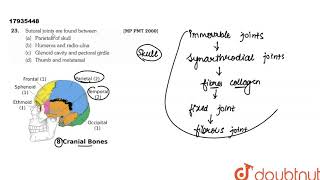 Sutural joints are found between [upl. by Nossaj]