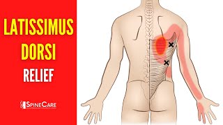 How to Fix Latissimus Dorsi Muscle Pain FOR GOOD [upl. by Natty]