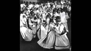 Tropotalu  Dance from Bihor area [upl. by Rossing]