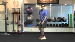 Eccentric squat for patellar tendinosis  tendinitis [upl. by Amalee]