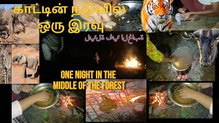 Forest camping night  Adventure travel A night in the wild  Forestcamping  காட்டில் ஒரு இரவு [upl. by Onivla894]