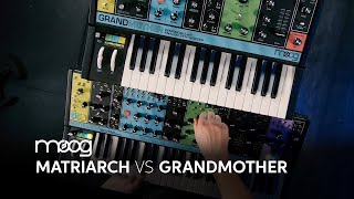 Moog Matriarch vs Moog Grandmother — Daniel Fisher [upl. by Ameekahs367]