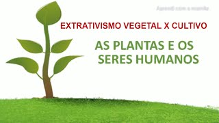 AS PLANTAS  Extrativismo vegetal e Cultivo 2 ano [upl. by Nepil]