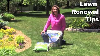 Lawn Renewal Tips [upl. by Steinke]