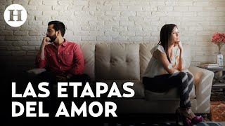 Amor vs enamoramiento Doctora en neurociencias explica las diferencias entre ambas [upl. by Llirpa389]