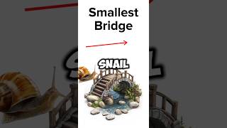 🏁 Race Across the Smallest vs Biggest Bridge in the World 🐌⚡🐆quot [upl. by Ursas733]