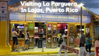 Visiting La Parguera In Lajas Puerto Rico Day amp Night [upl. by Wattenberg87]