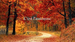 cest lautomne chanson comptine pour enfant fall song in French for kids [upl. by Esenej]