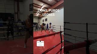 Iron sharpens iron elusiveboxing boxing letstalk voiceofelpaso sparring boxingmatch [upl. by Nwahsed417]