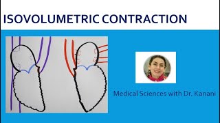 Isovolumetric Contraction of the Cardiac Cycle [upl. by Holman933]