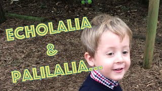 Echolalia amp Palilalia  What does Echolalia sound like  Autism Awareness  ASD  Child Speech Delay [upl. by Carmelo874]