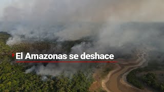 El Amazonas se está EXTINGUIENDO  La deforestación AMENAZA al pulmón más grande de la Tierra [upl. by Darbee]