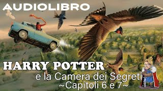 Harry Potter e la camera dei segreti  Lettura e Commento Cap 67  Audiolibro [upl. by Ettelrahc]