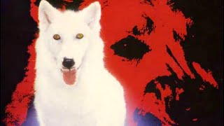 Official Trailer  WHITE DOG 1982 Samuel Fuller Kristy McNichol Paul Winfield Jameson Parker [upl. by Introk]