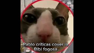 Pablo críticas  Bibi fogosa [upl. by Elia]