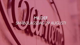 MilDef presentation  Carnegie småbolagsdag [upl. by Elraet]