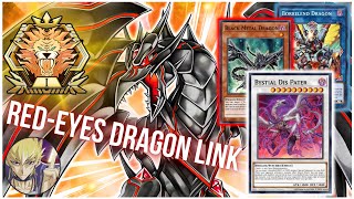 REDEYES DRAGON LINK ROARS Thru Master Rank Replays Combo Guide amp Decklist YuGiOh Master Duel [upl. by Bradshaw144]