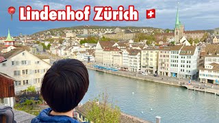 📍Lindenhof Zürich Switzerland 🇨🇭Beautifull Nature  zurich swiss switzerland سوئیس [upl. by Duffie]