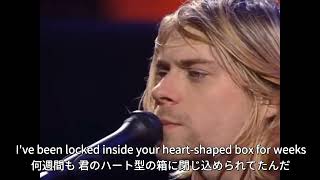 【和訳】HeartShaped Box  Nirvana Live and Loud Seattle 1993 [upl. by Pauli156]