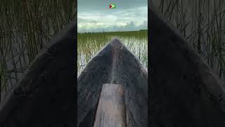 Sundaymorning canoe ride in guyana Northwest Region Manawarin guyanese amerindian [upl. by Torbert]