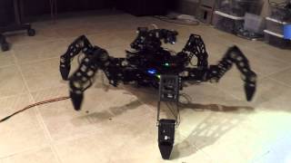 Orwell Hexapod Vision Tracking Demo [upl. by Enyawad]