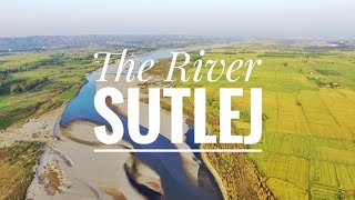 Sutlej River  Punjab India [upl. by Nohtanhoj990]