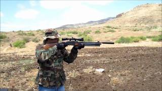 RWS Career II Carbine 177 LDC Test [upl. by Dj]