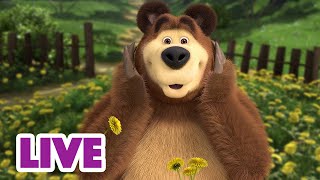 🔴 LIVE STREAM 🎬 Masha and the Bear 🌸 Spring blossoms 🌸 [upl. by Nauqyaj724]