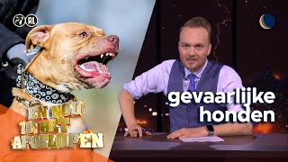 En nou is het afgelopen met gevaarlijke honden  De Avondshow met Arjen Lubach S4 [upl. by Terris]