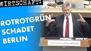 Buchholz AfD Starker Wirtschaftsstandort durch Innovation  weg von rotrotgrüner Planwirtschaft [upl. by Anael]