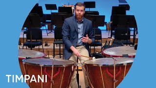 Minnesota Orchestra Timpani Demonstration [upl. by Pega]