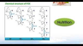 Fructooligosaccharides FOS [upl. by Heyde289]