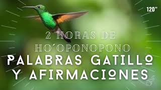 AFIRMACIONES y palabras gatillo 2 HORAS de HO´OPONOPONO 🌺 MEDITACIÓN [upl. by Iohk490]