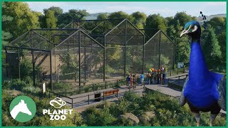 Peafowl Aviary  Elm Hill City Zoo  Planet Zoo [upl. by Lazos]